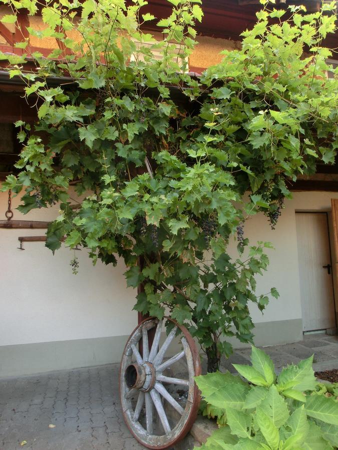 Zehnthof Hotel Geldersheim Exterior foto